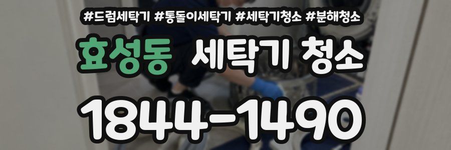 효성동 세탁기 청소