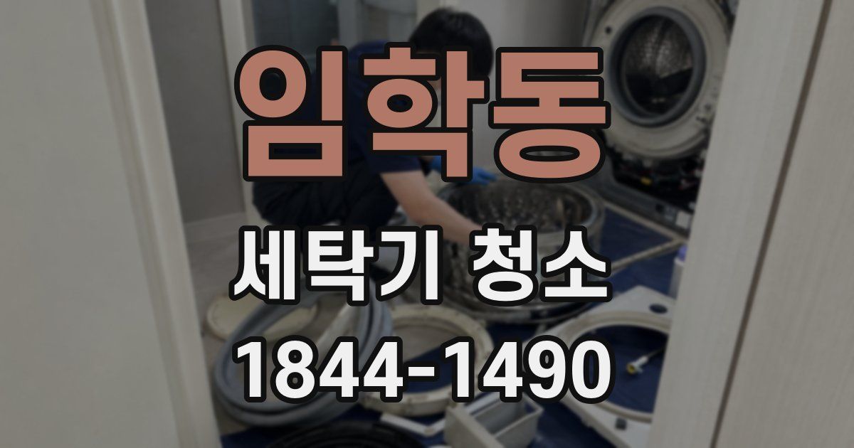 임학동 세탁기 청소