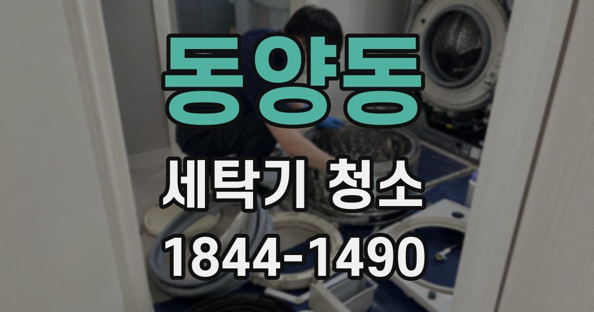 동양동 세탁기 청소
