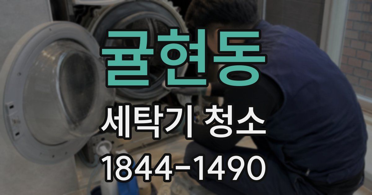 귤현동 세탁기 청소