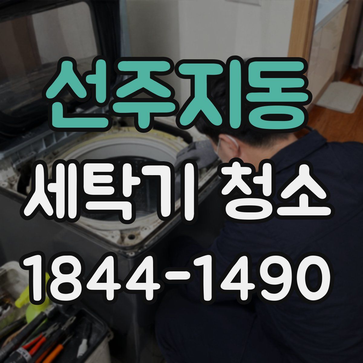 선주지동 세탁기 청소