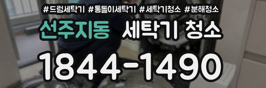 선주지동 세탁기 청소