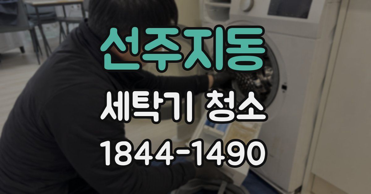 선주지동 세탁기 청소