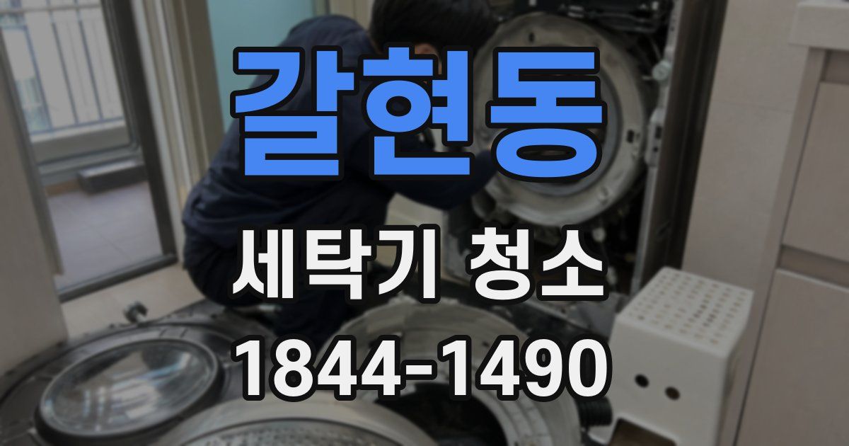 갈현동 세탁기 청소