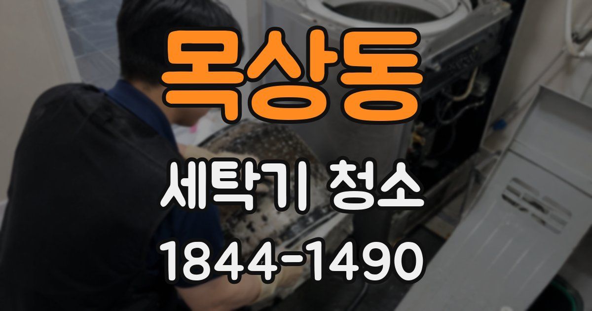 목상동 세탁기 청소