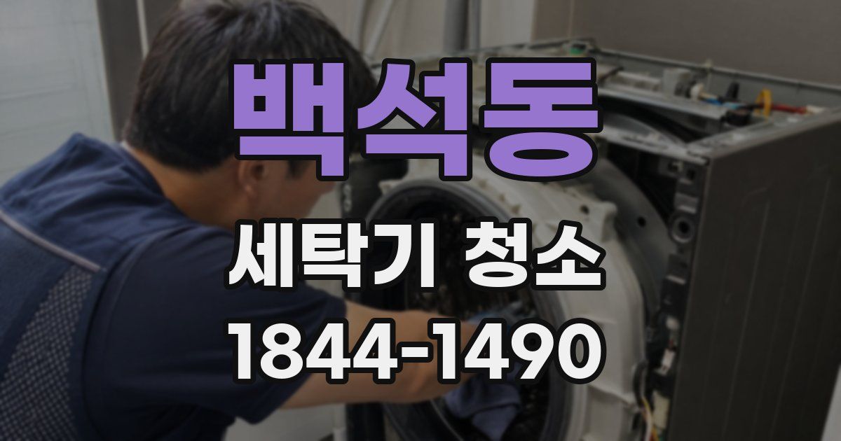 백석동 세탁기 청소