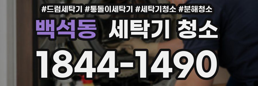 백석동 세탁기 청소