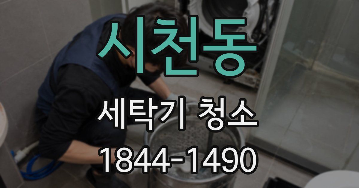 시천동 세탁기 청소