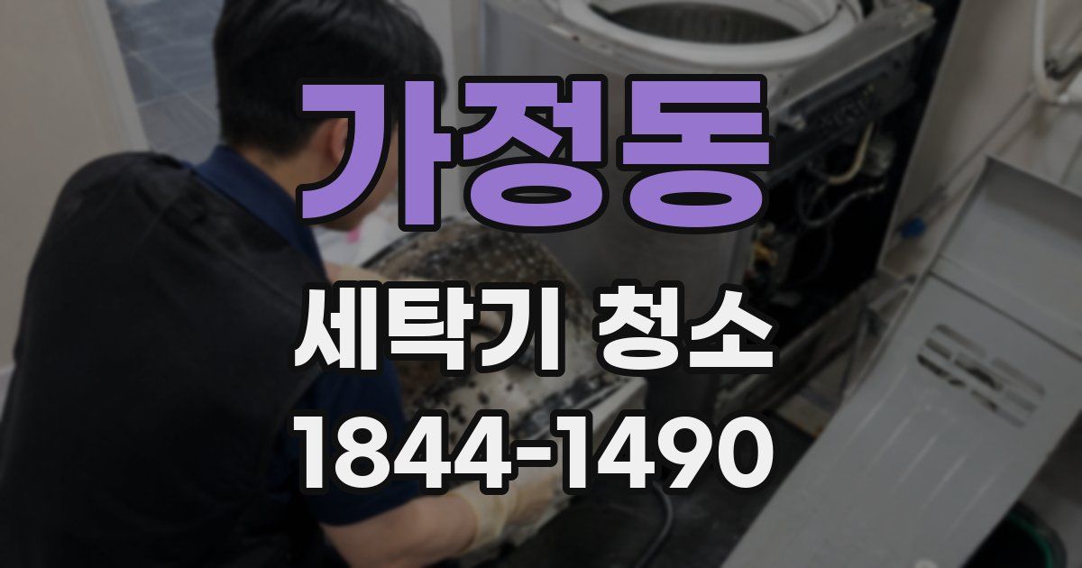 가정동 세탁기 청소