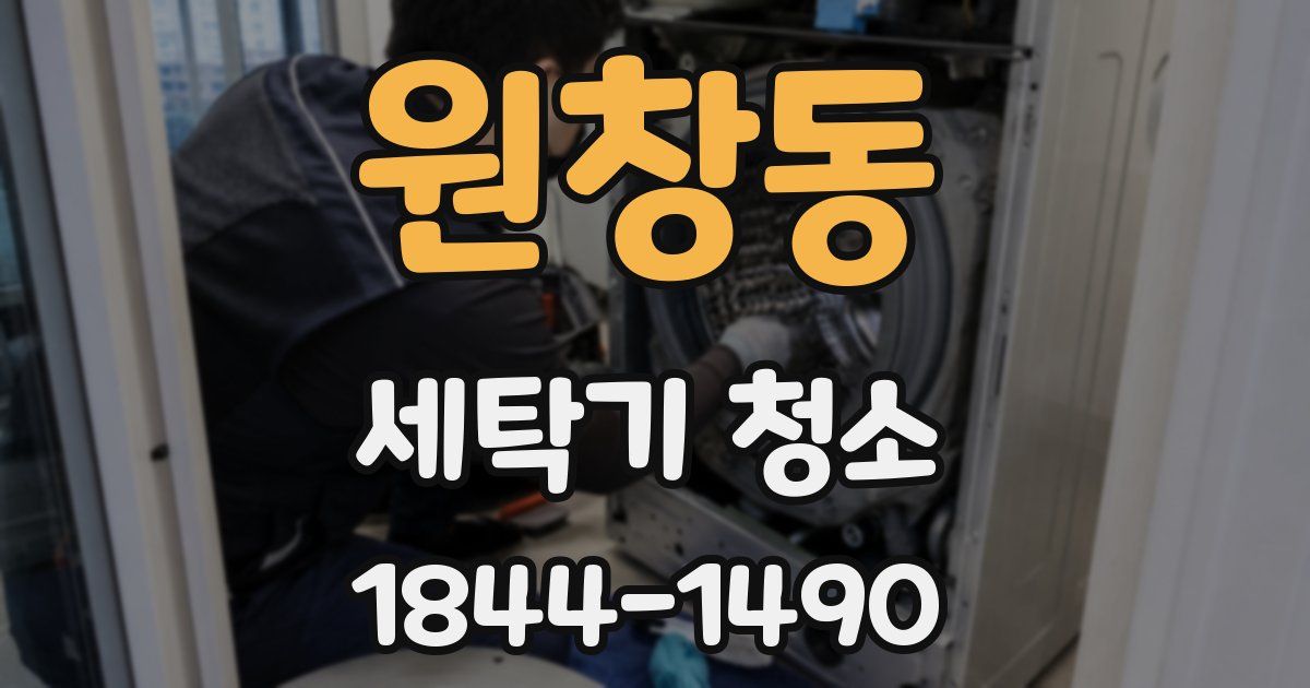원창동 세탁기 청소