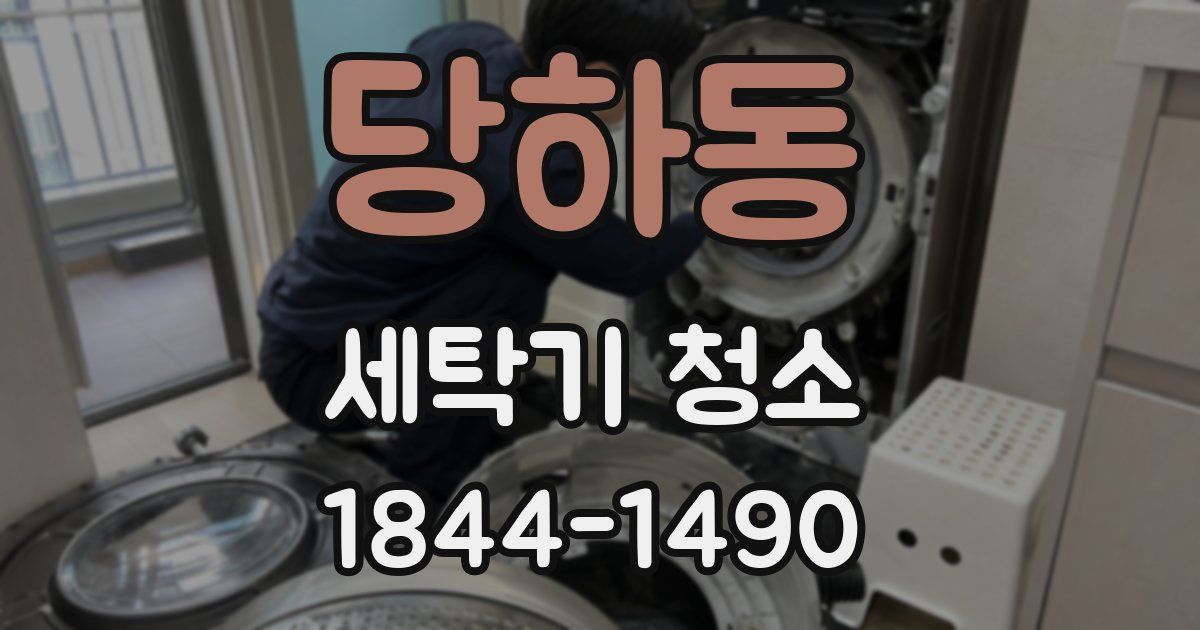 당하동 세탁기 청소