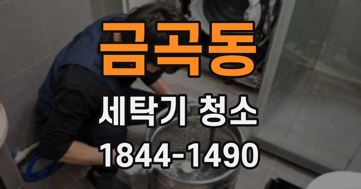 금곡동 세탁기 청소