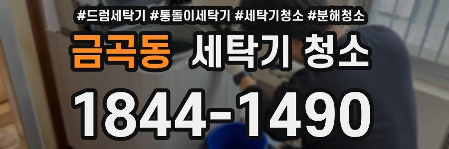 금곡동 세탁기 청소