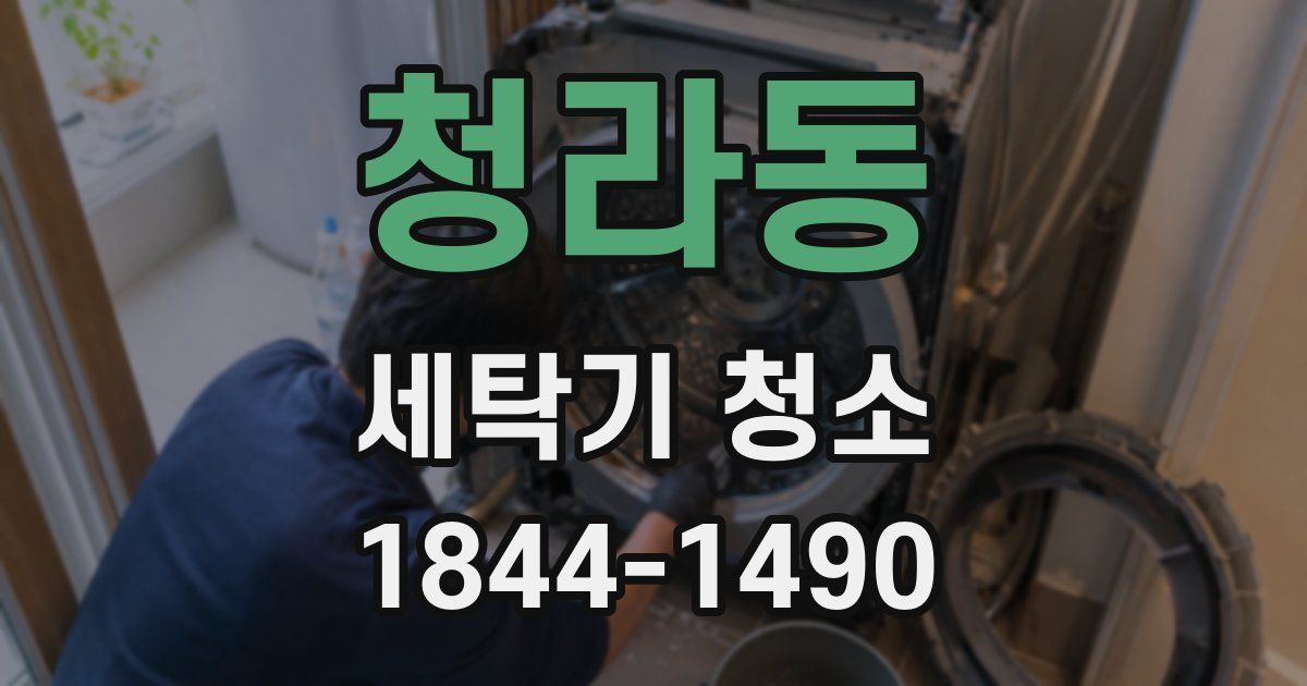 청라동 세탁기 청소