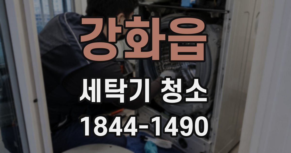 강화읍 세탁기 청소
