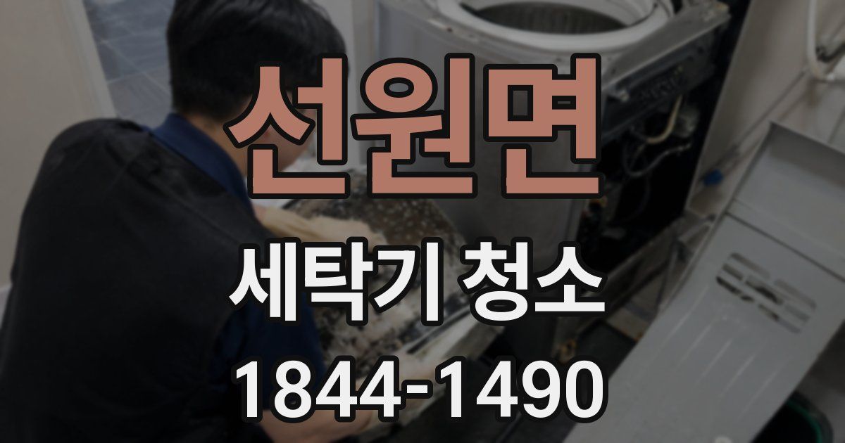 선원면 세탁기 청소