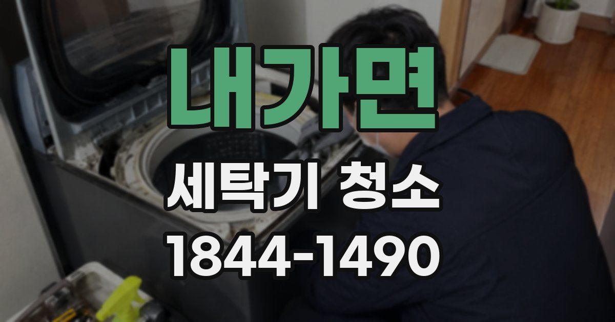 내가면 세탁기 청소