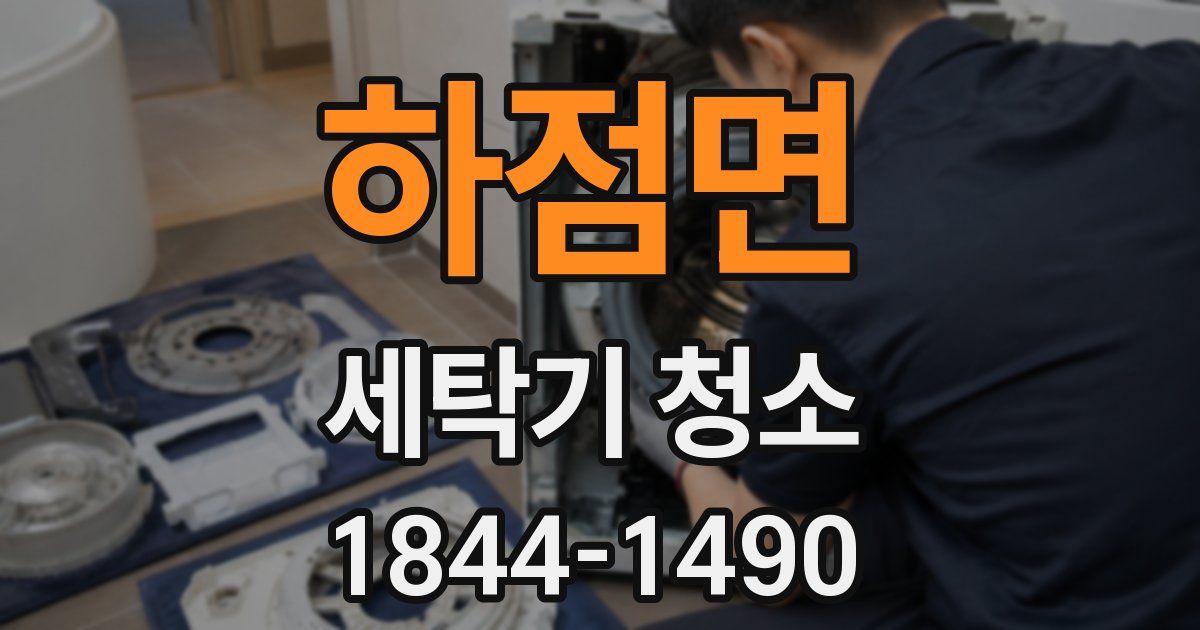 하점면 세탁기 청소