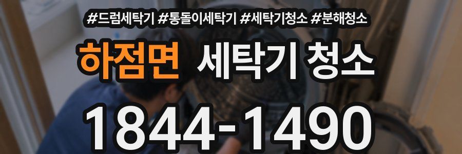 하점면 세탁기 청소