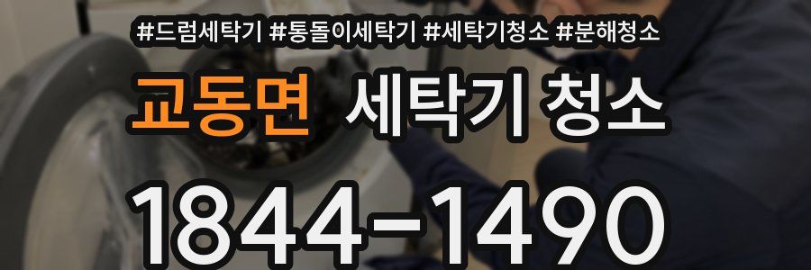 교동면 세탁기 청소