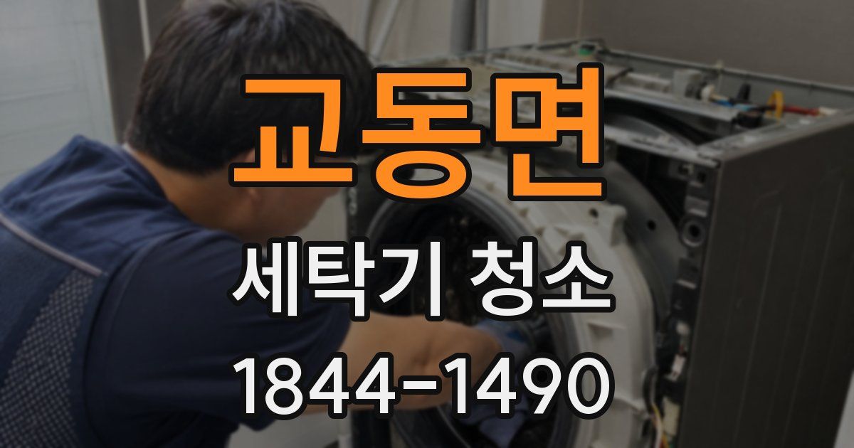 교동면 세탁기 청소