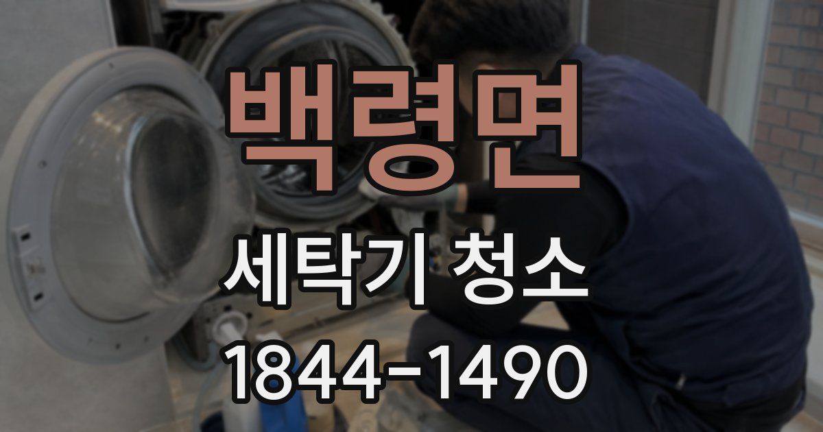 백령면 세탁기 청소