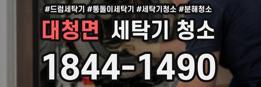 대청면 세탁기 청소