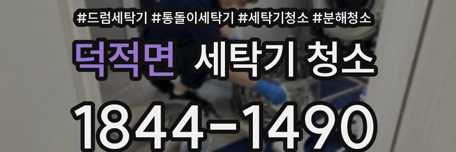 덕적면 세탁기 청소
