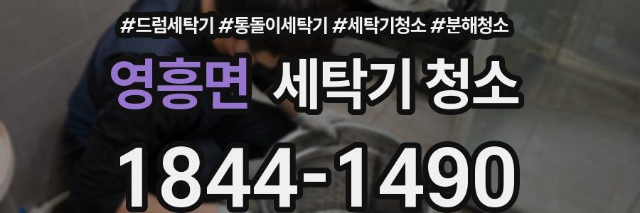 영흥면 세탁기 청소