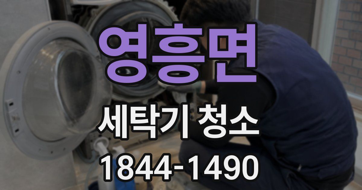 영흥면 세탁기 청소
