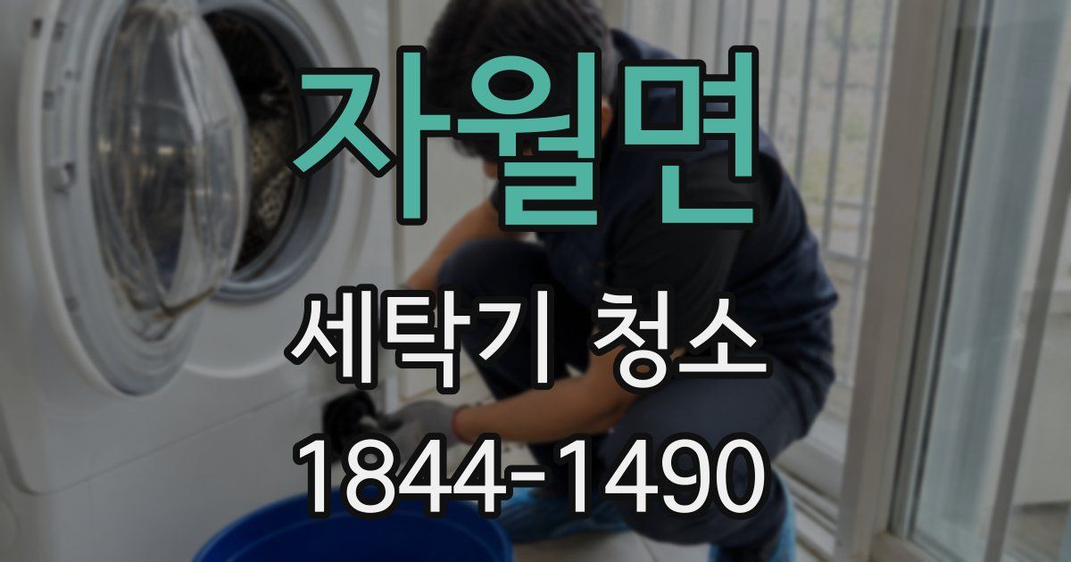 자월면 세탁기 청소