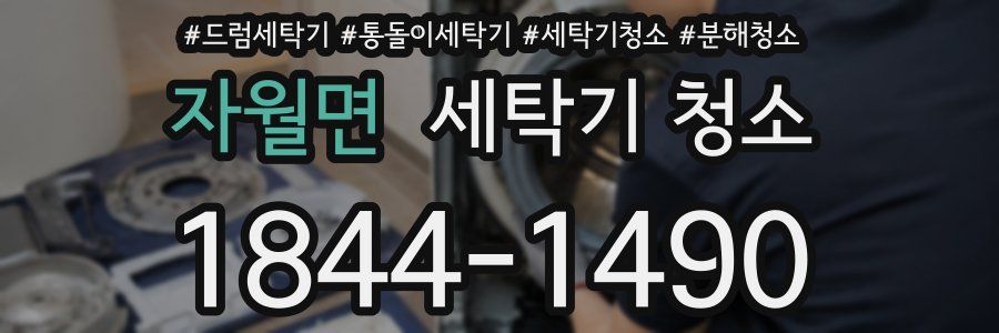 자월면 세탁기 청소