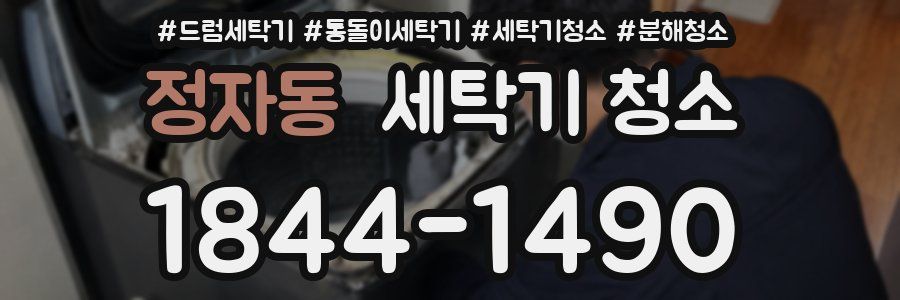 정자동 세탁기 청소
