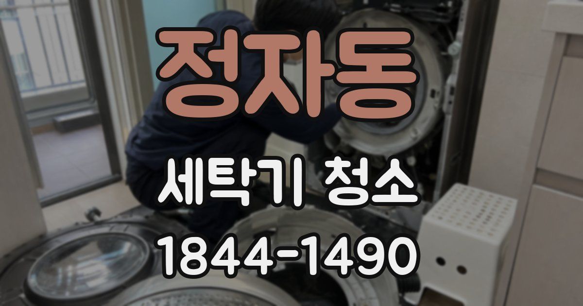 정자동 세탁기 청소