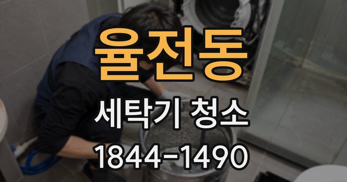 율전동 세탁기 청소