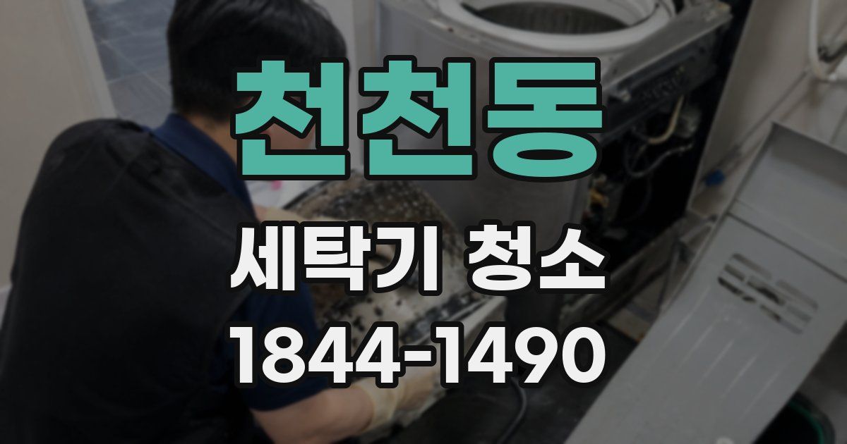 천천동 세탁기 청소