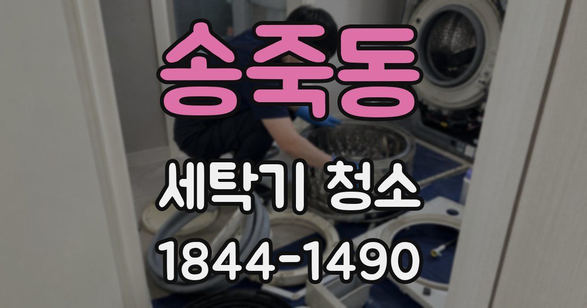 송죽동 세탁기 청소