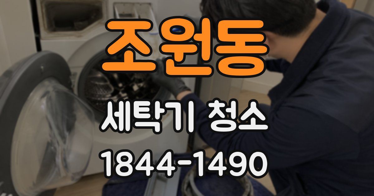 조원동 세탁기 청소