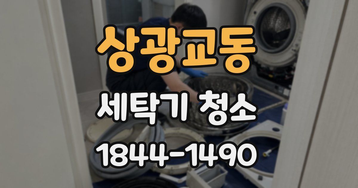 상광교동 세탁기 청소