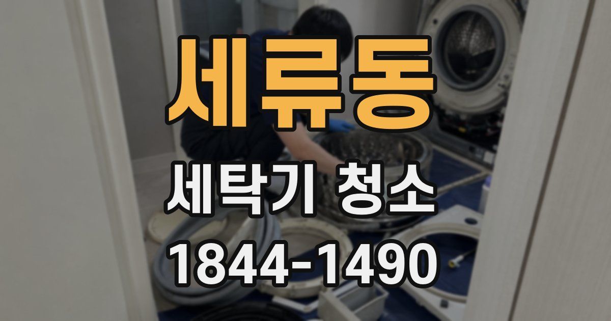 세류동 세탁기 청소