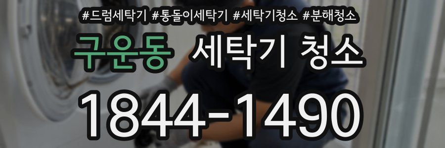 구운동 세탁기 청소