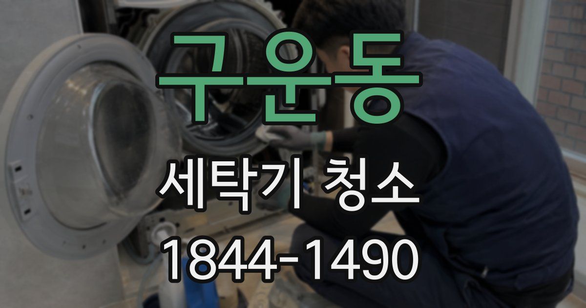 구운동 세탁기 청소