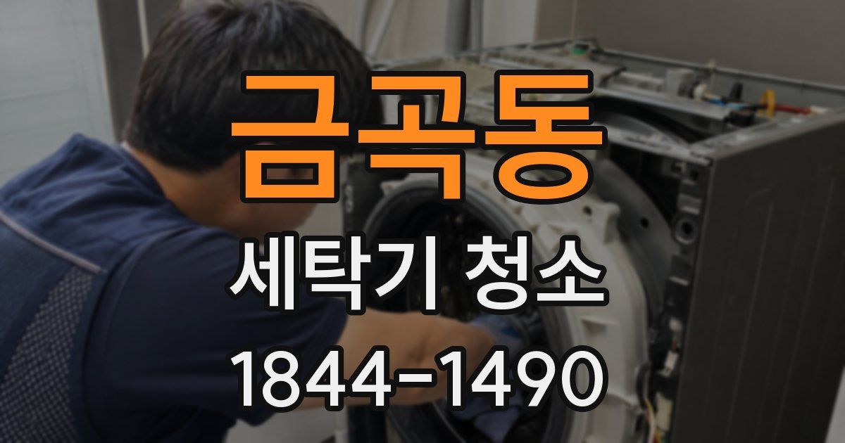 금곡동 세탁기 청소