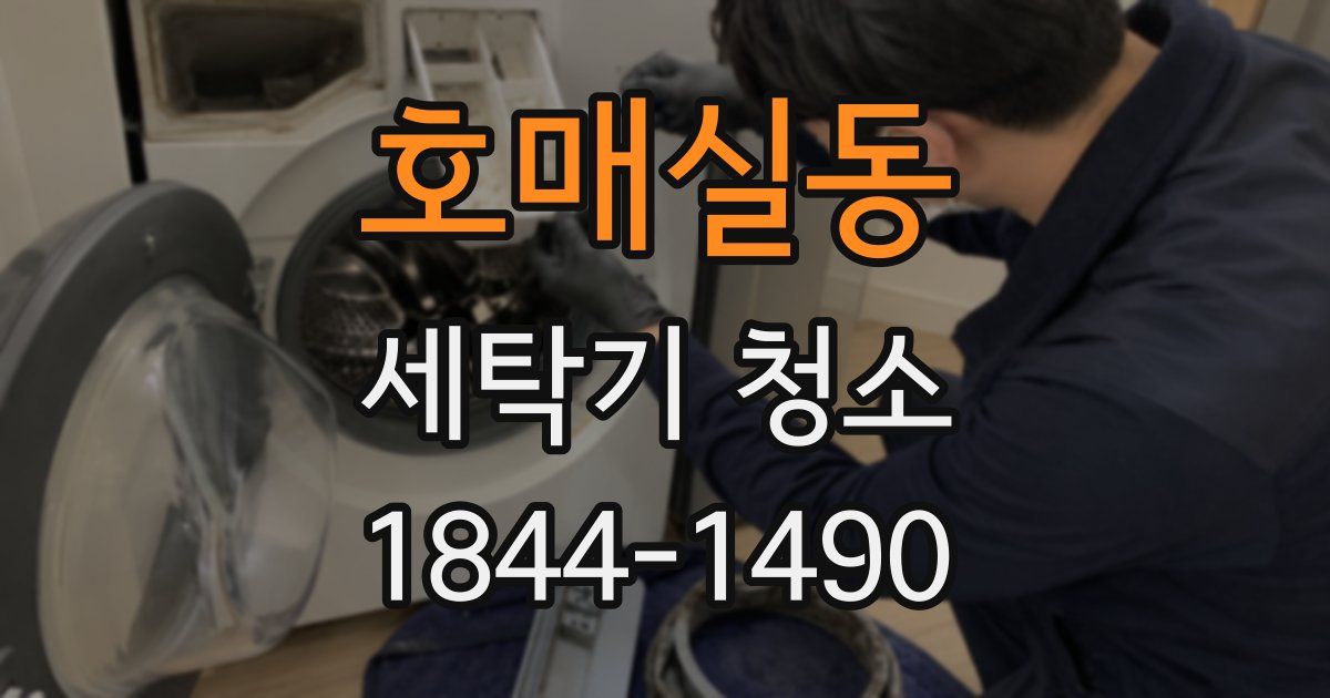 호매실동 세탁기 청소
