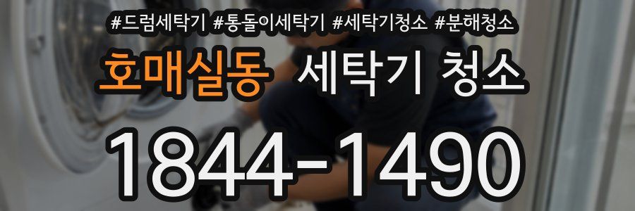 호매실동 세탁기 청소