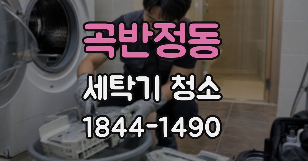 곡반정동 세탁기 청소