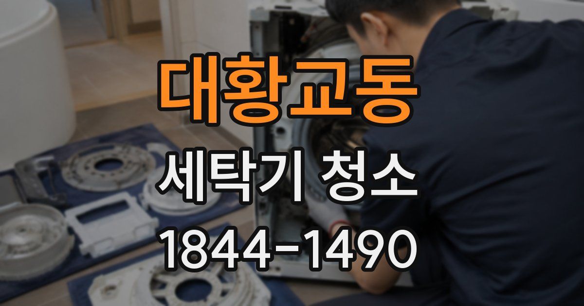 대황교동 세탁기 청소