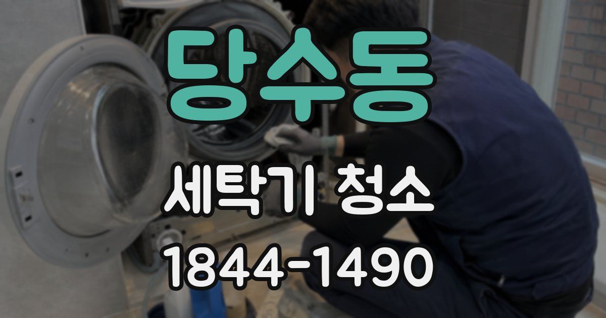 당수동 세탁기 청소