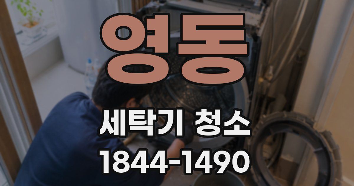 영동 세탁기 청소