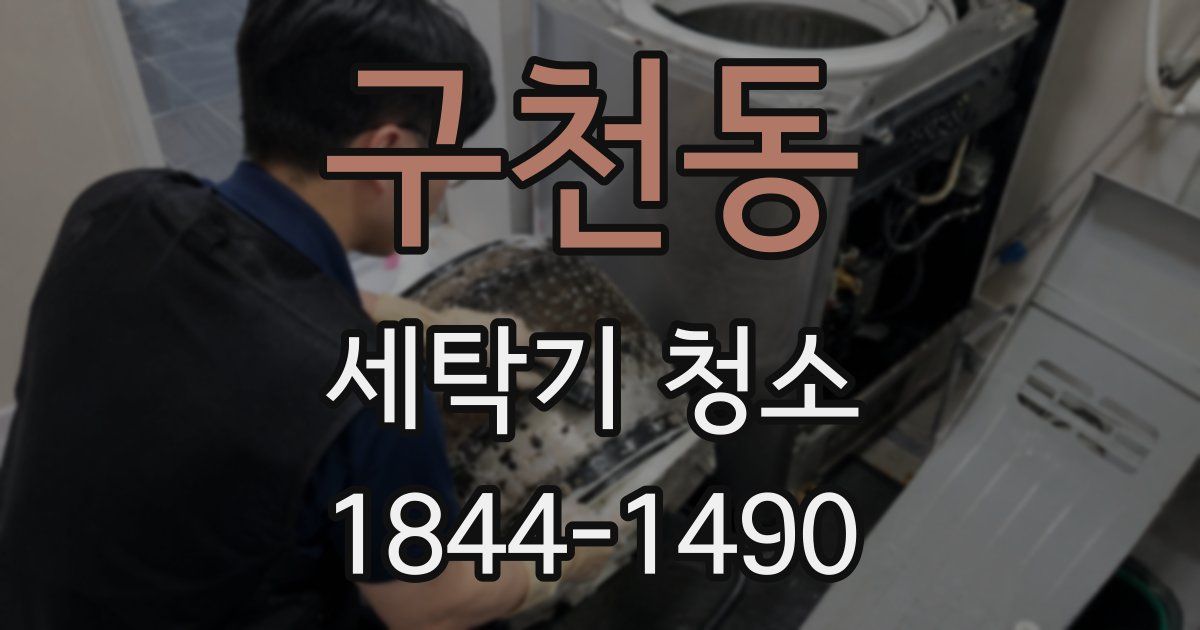 구천동 세탁기 청소